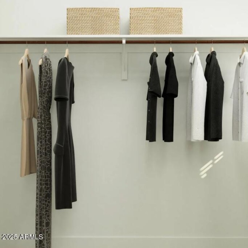 Owners Walk in Closet