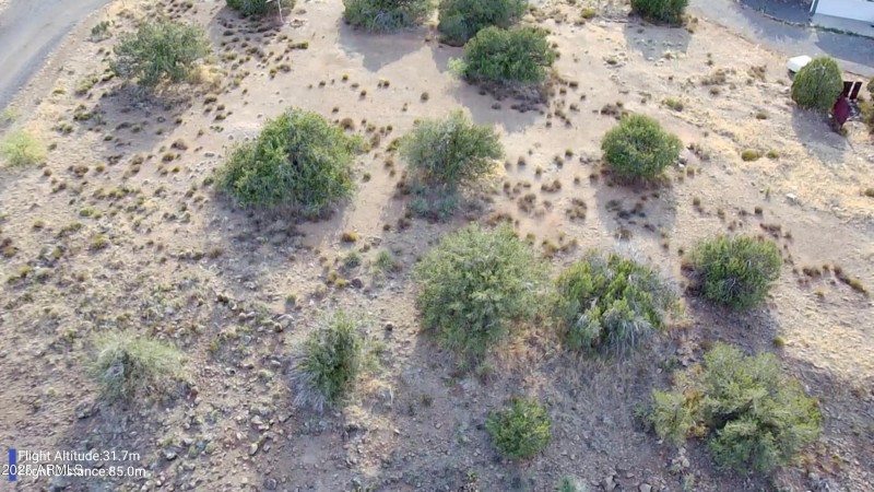 IMG_20250713_1725005