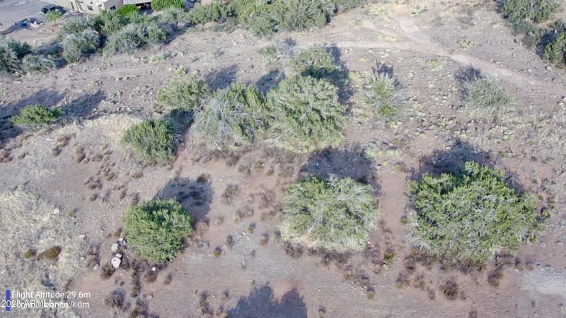 IMG_20250713_1721007