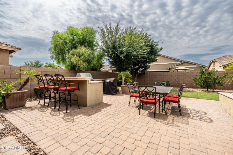 Backyard 1
