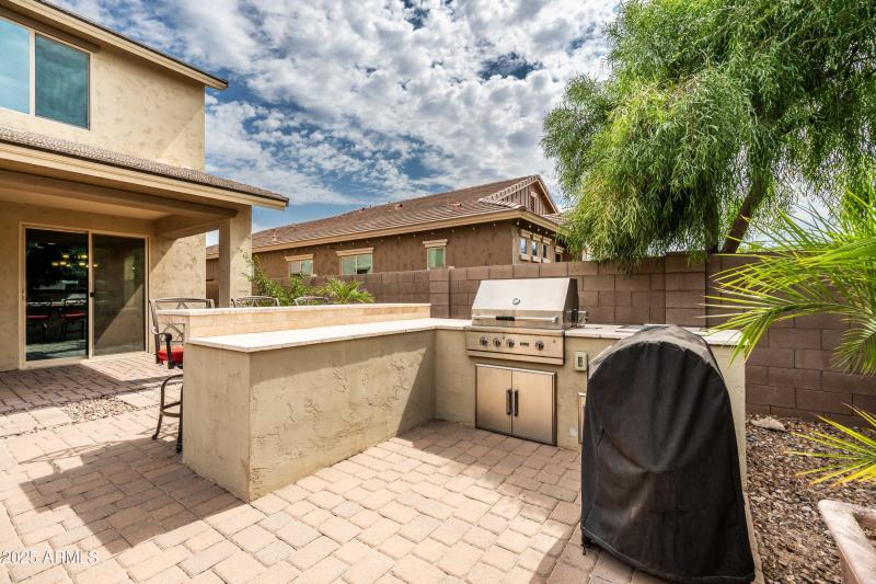 Backyard 4