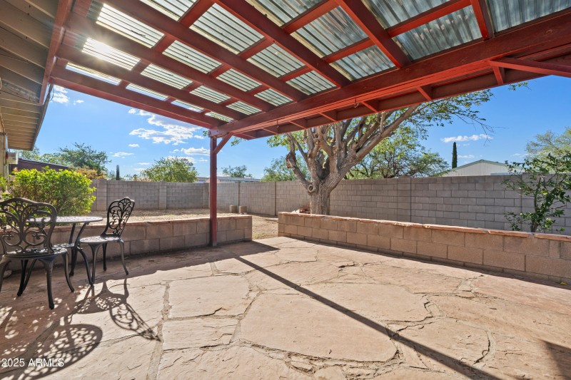 3 Back yard 6