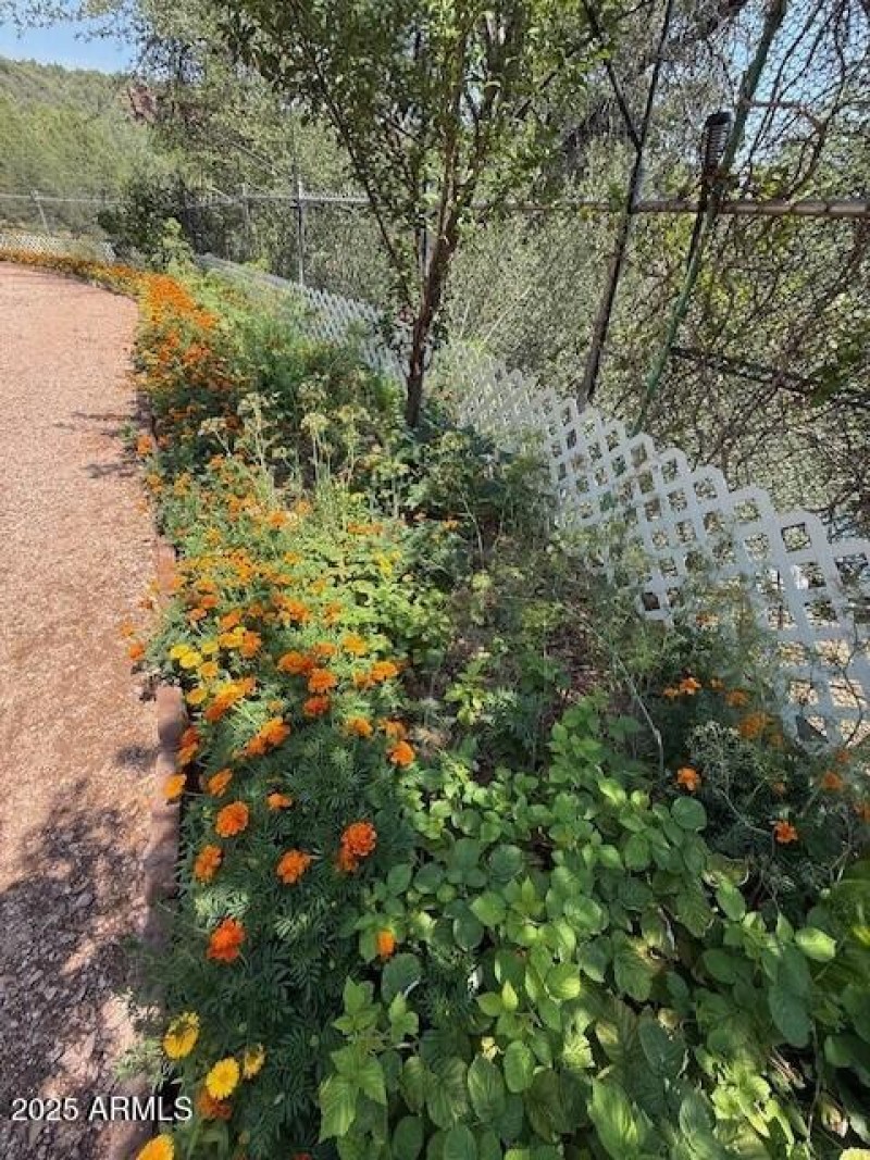 flowers