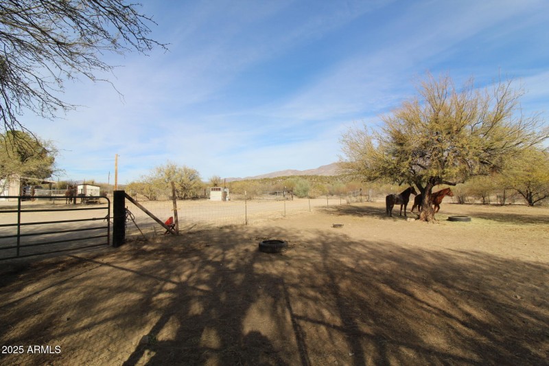 Front corral