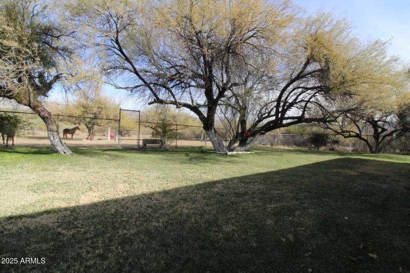 Front yard
