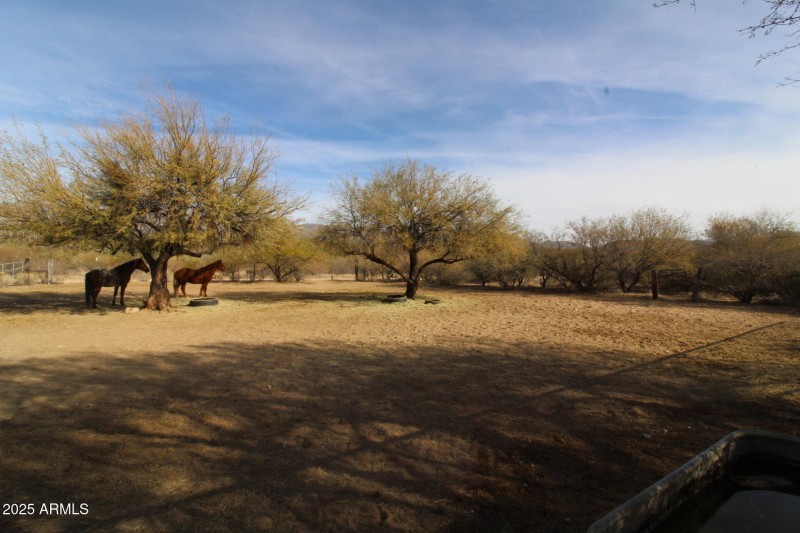front corrals