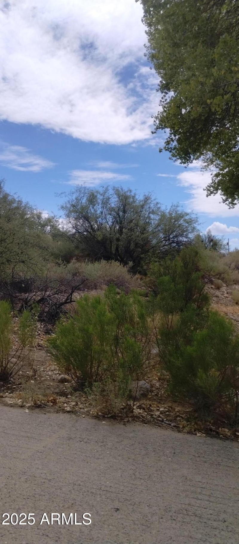 IMG_20240825_120426984