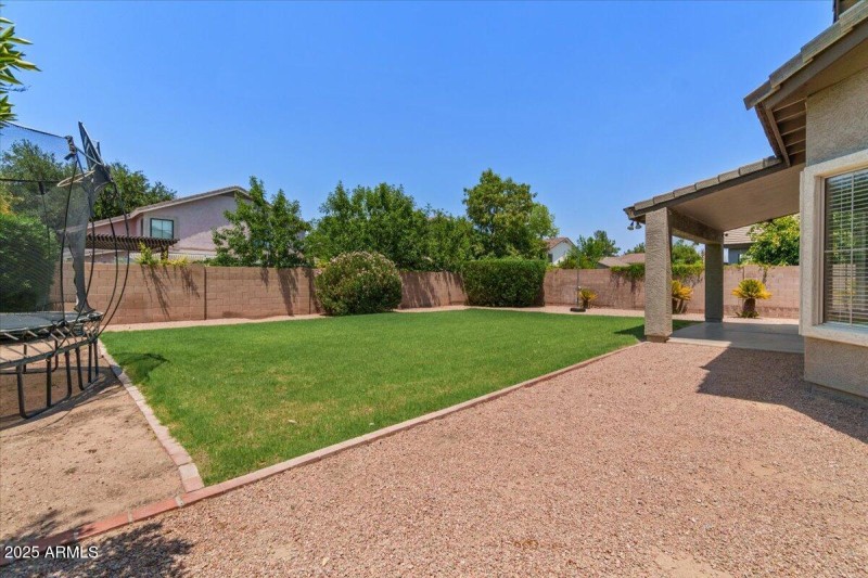 Back yard