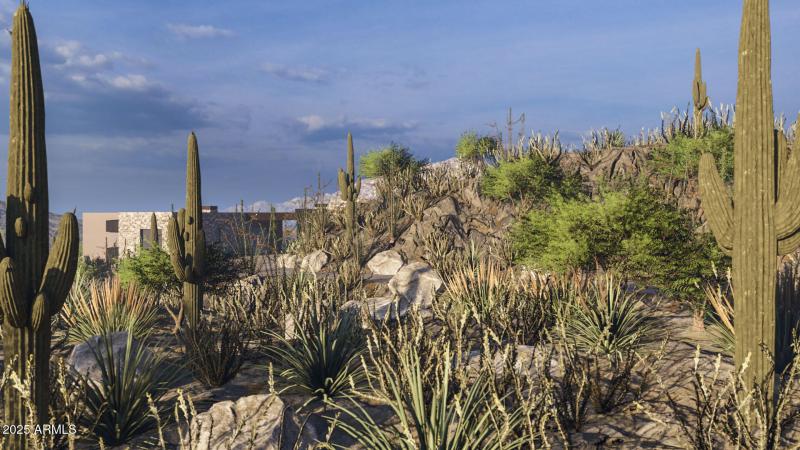 Saguaro Ranch 230702 v3_Front Elevation