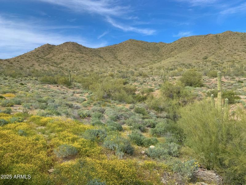 Anthem Golf & Country Club