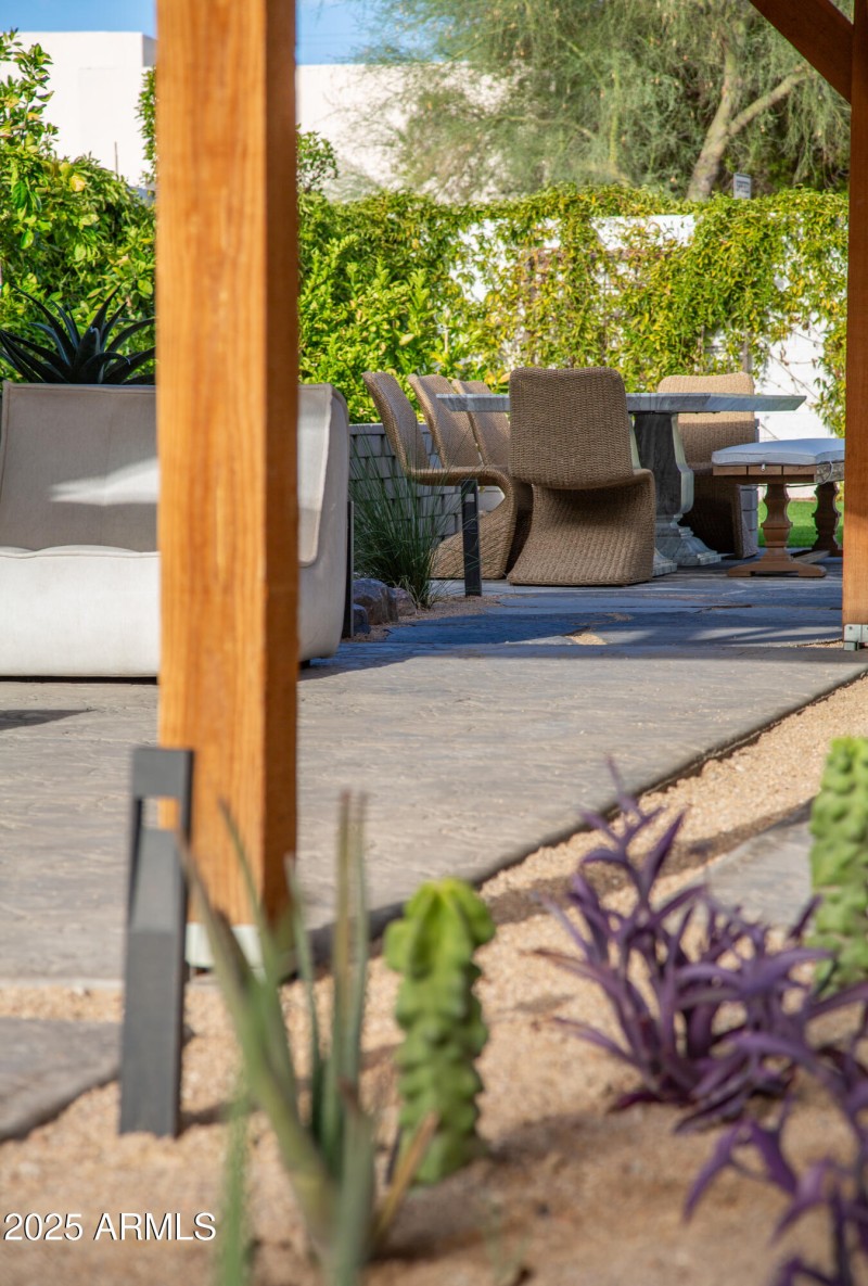 Backyard Detail