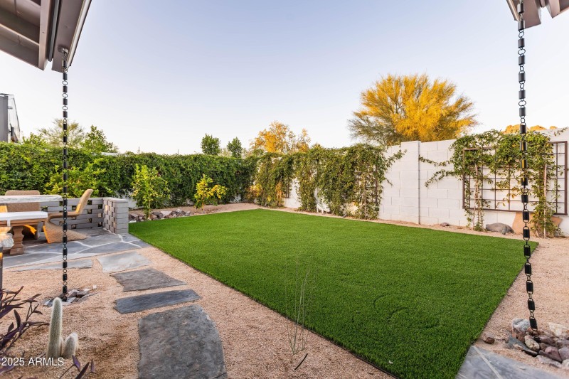 Backyard