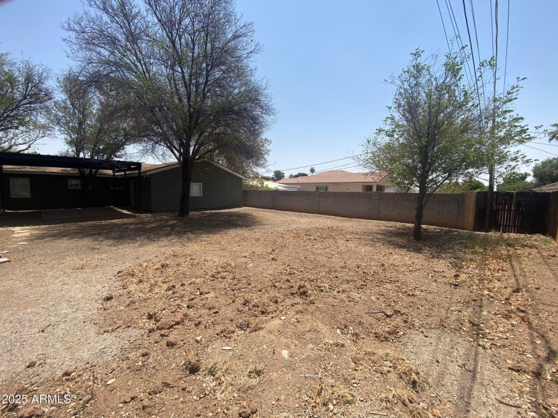 backyard