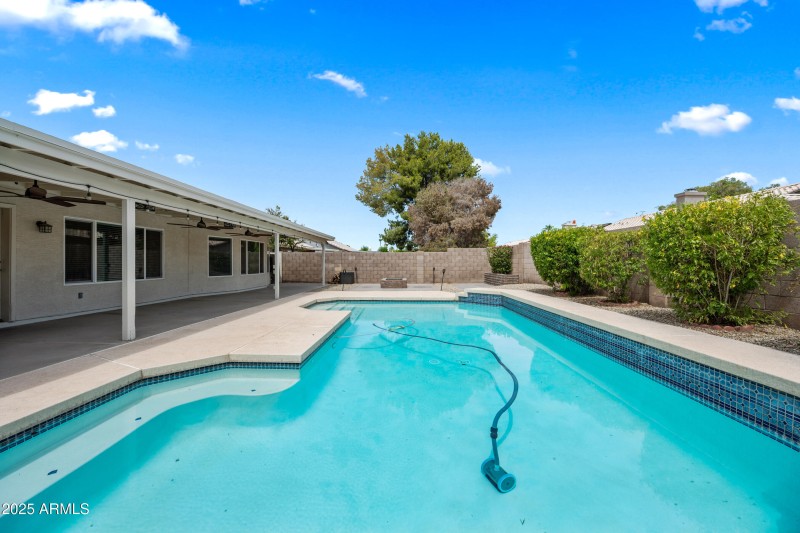 Backyard with Pool