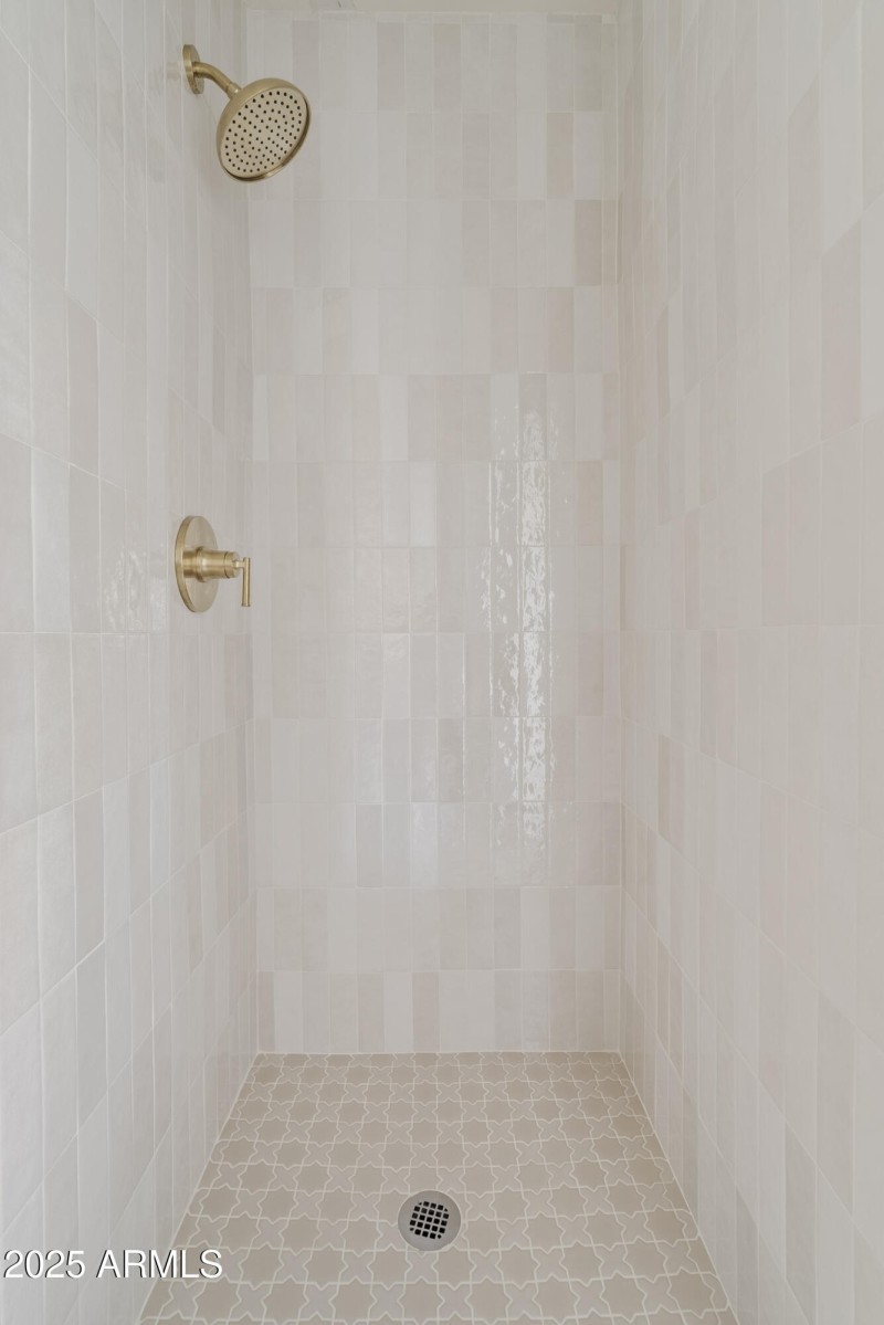 Primary Shower