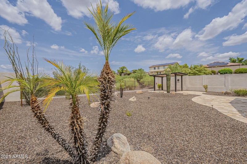 Large backyard