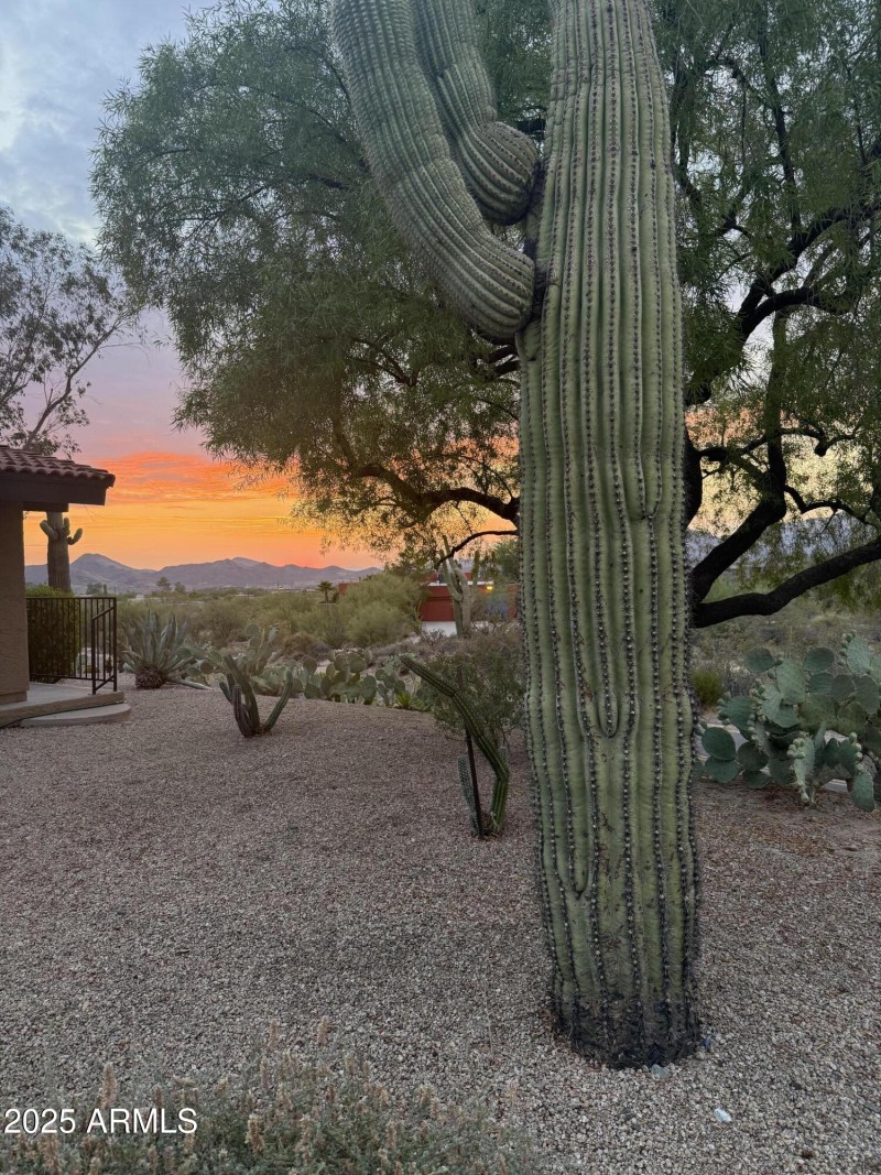 Fire Pit Sunset