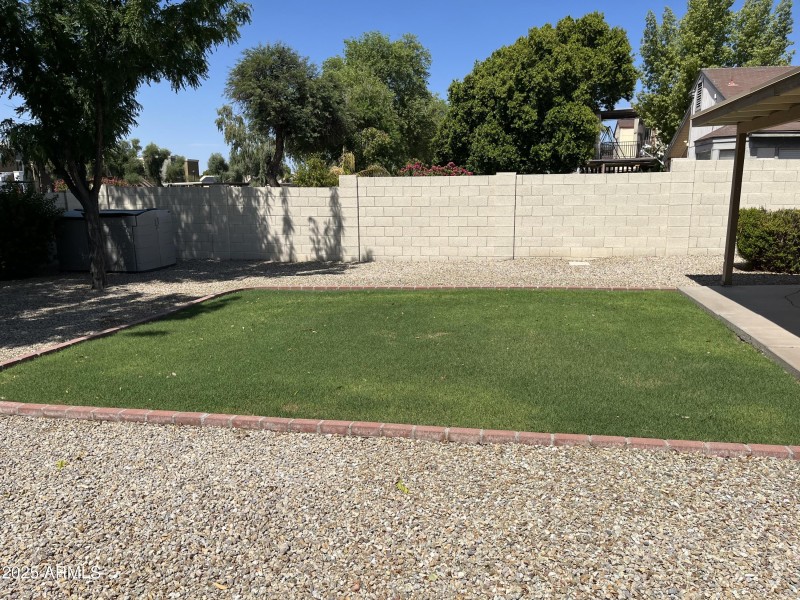 Backyard