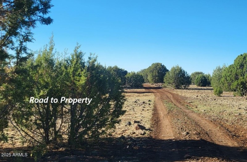 thumbnail_20250710_174054