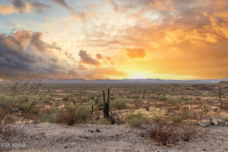 20231025220642203898000000-o