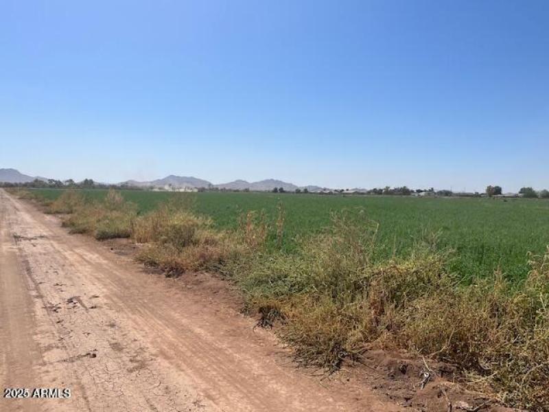 20241007205011048974000000-o