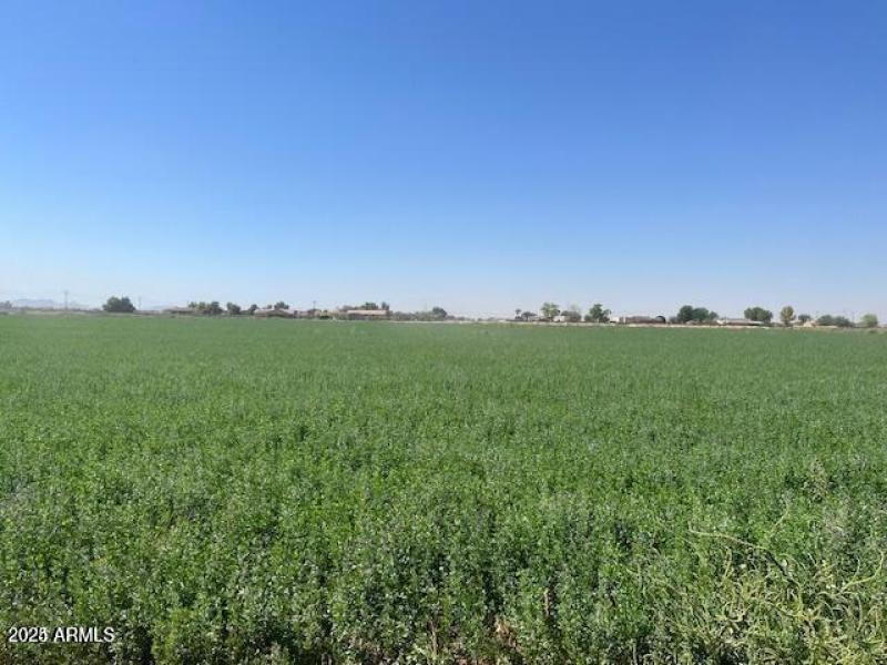 20241007205012340771000000-o