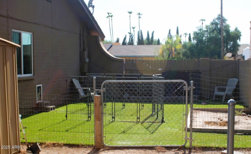 DOG RUN B