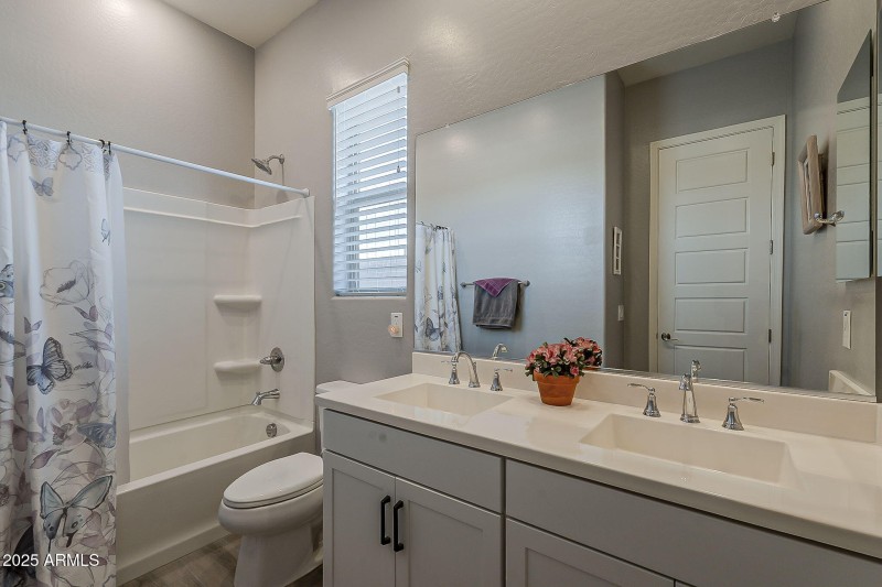 40-web-or-mls-Smoketree-40