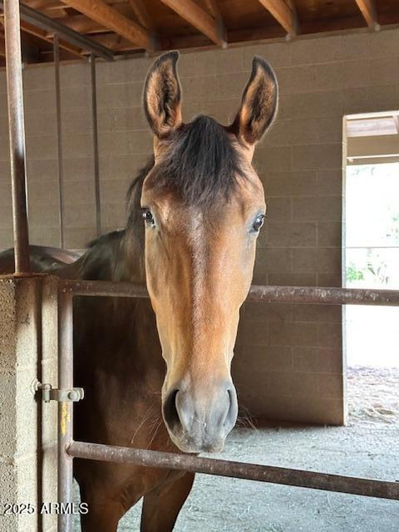 9340E483-5CDC-458E-AFA0-6CE679BCB9FC