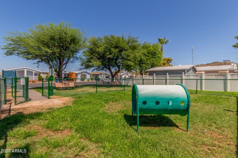 Dog Park