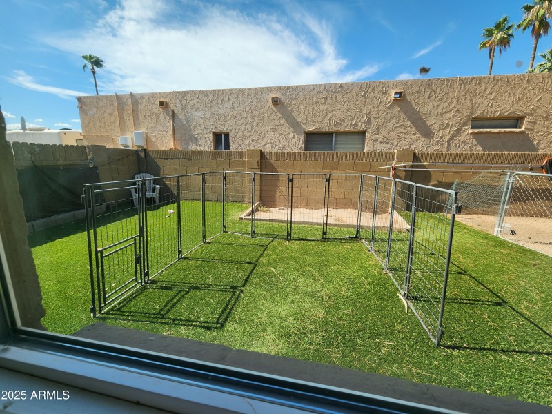 DOG RUN 2