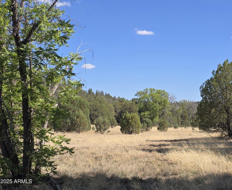 Meadow Lkg South