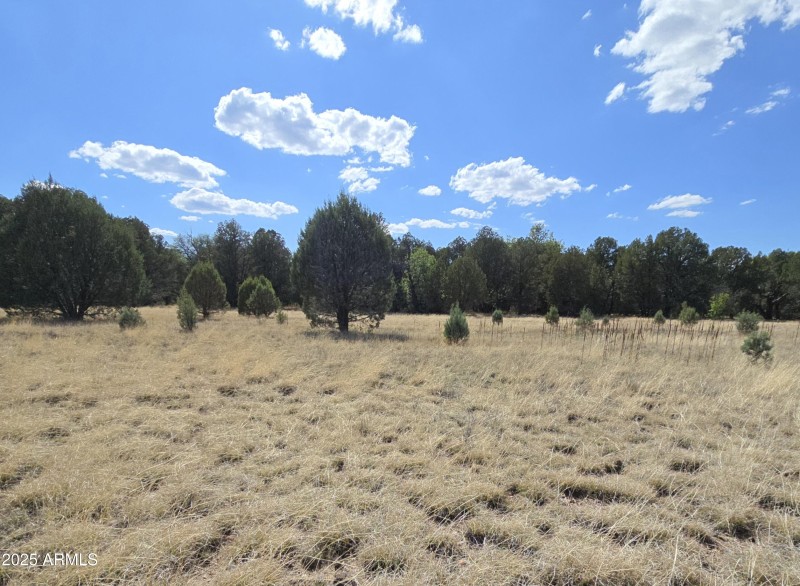 Meadow Lkg West