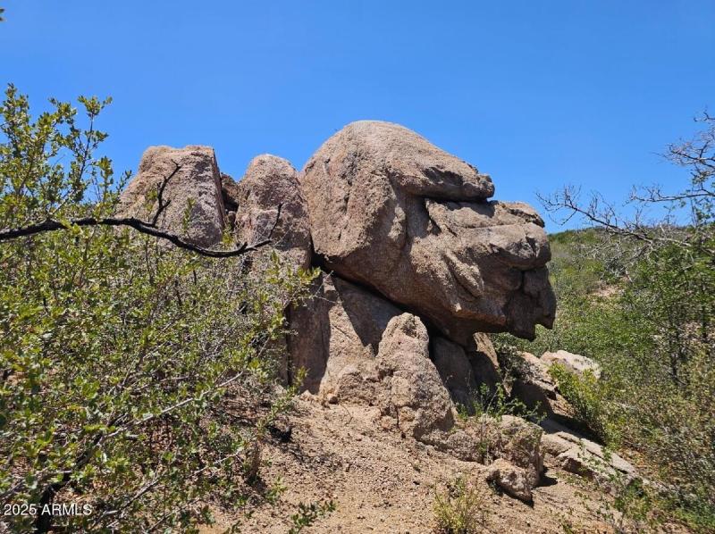 Dog Rock