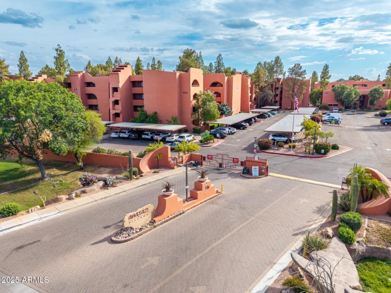 43 - Paradise Aerials