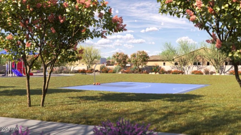 Basketball Court