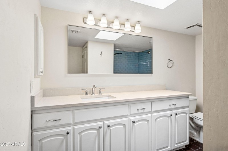Guest Bath - Ample Counter space
