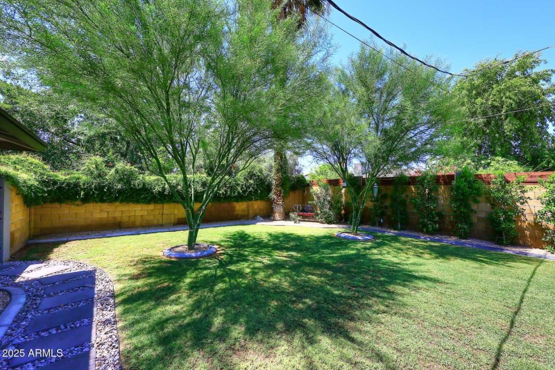 Backyard