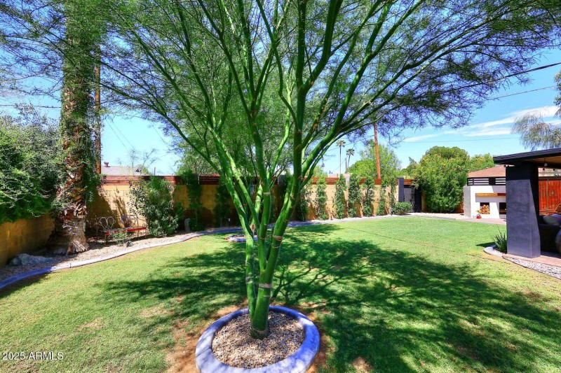 Backyard