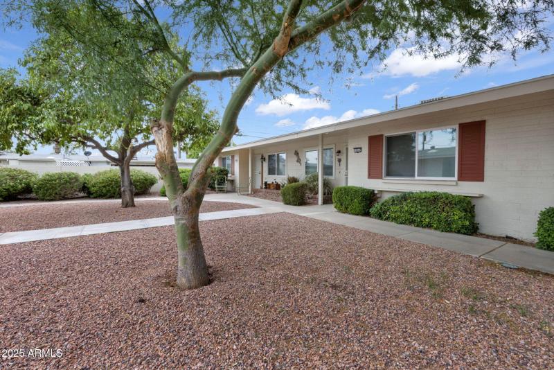 3-web-or-mls-368A9521