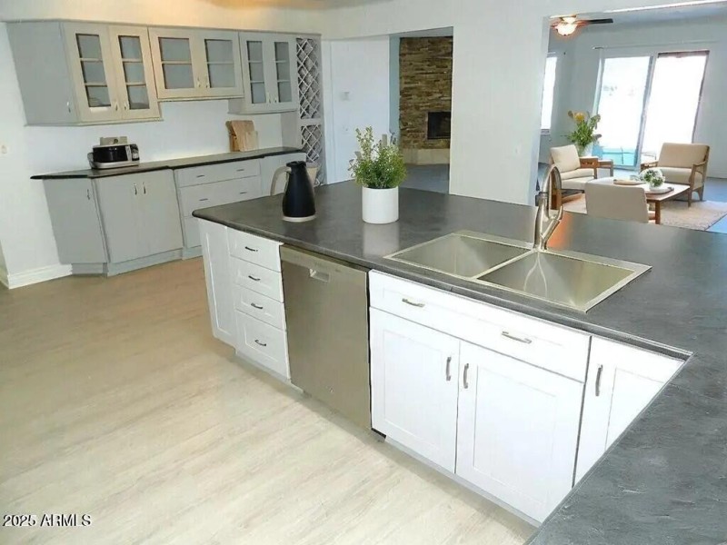 BURTON AI KITCHEN SINK PIC
