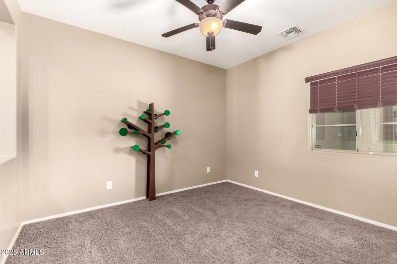 07 - Dragon Tree 472
