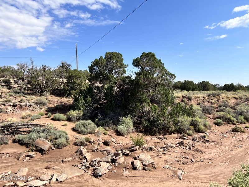 2023-08-16 09.25.25-1