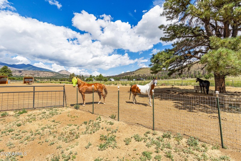 5850 E Girls Ranch Rd-54