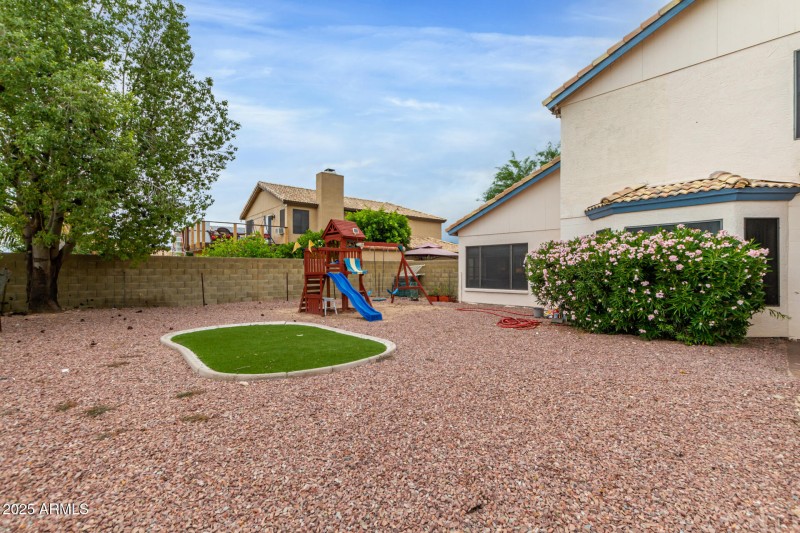 Back Yard