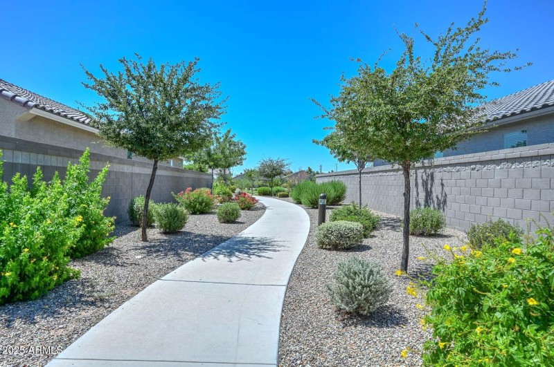 Olive Grove Community