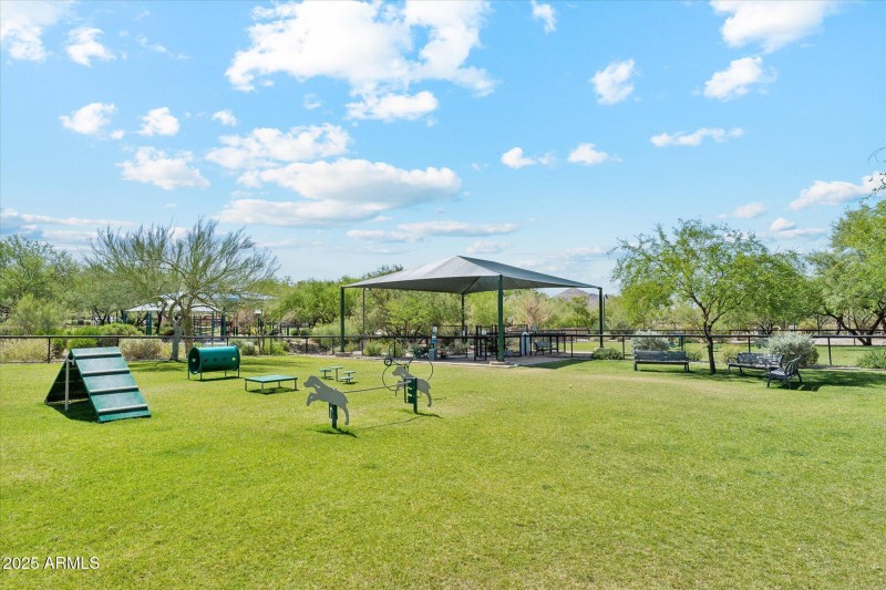 Dog Park