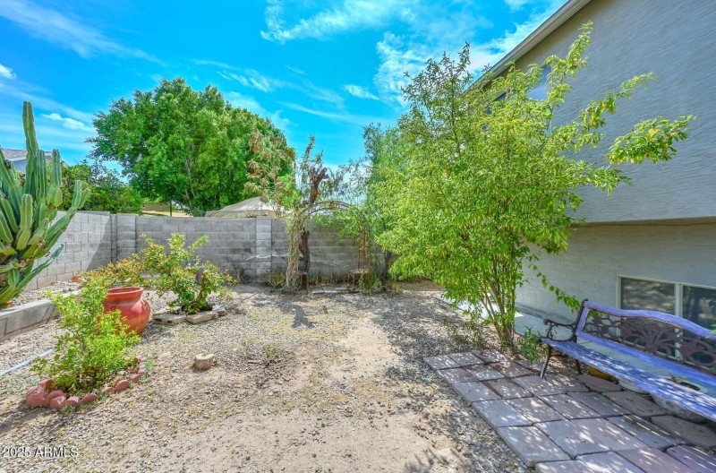 Backyard2