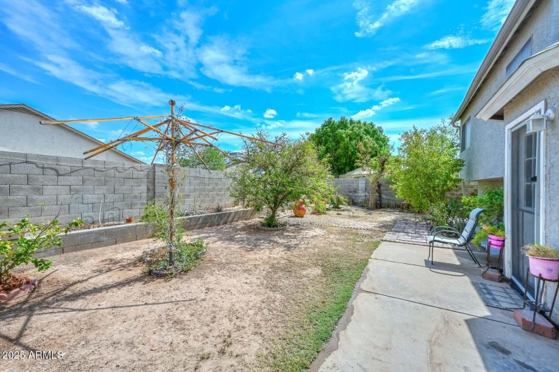Patio-Backyard2