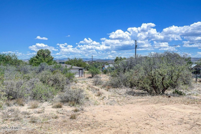 20809 E Antelope Road - Photo - Backyard